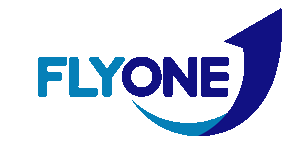 FlyOne